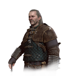 Tw3 journal vesemir