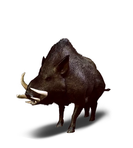 Tw3 journal wild boar