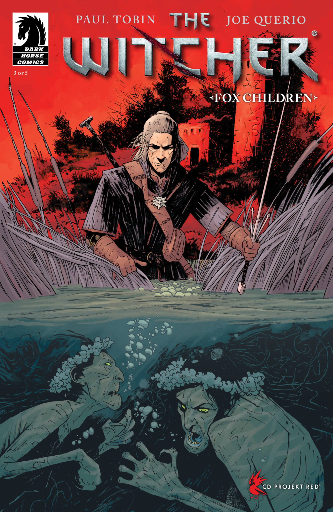 the witcher comics the witcher comics