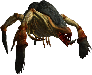 Kikimoří královna