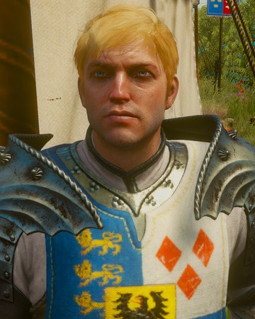 Anseis Witcher Wiki Fandom