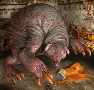 Echinops przedstawiony na materiałach promocyjnych gry Wiedźmin: Pogromca Potworów