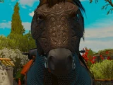 Undvik horse blinders