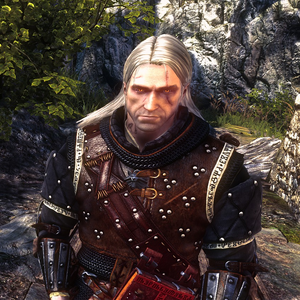 Zireael S Armor Witcher Wiki Fandom It is one of 4 armor slots the player can fill. zireael s armor witcher wiki fandom