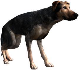 Bestiary Dog full