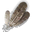 Pióra harpii