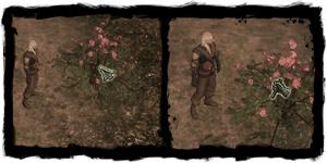 Herbalism