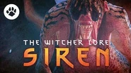 What are Sirens? The Witcher Lore Sirens