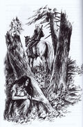 Human form