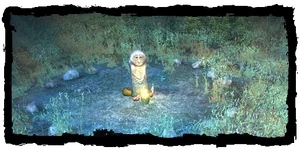 the Druids' Circle at night