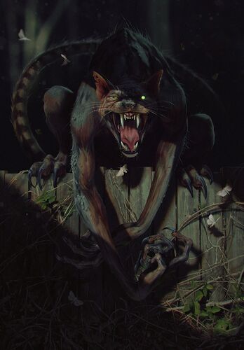 Gwent cardart monsters werecat