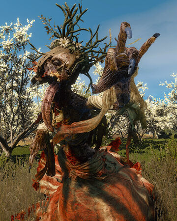 Contract The White Lady Witcher Wiki Fandom