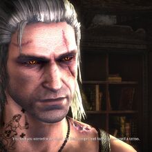 Hung Over Witcher Wiki Fandom