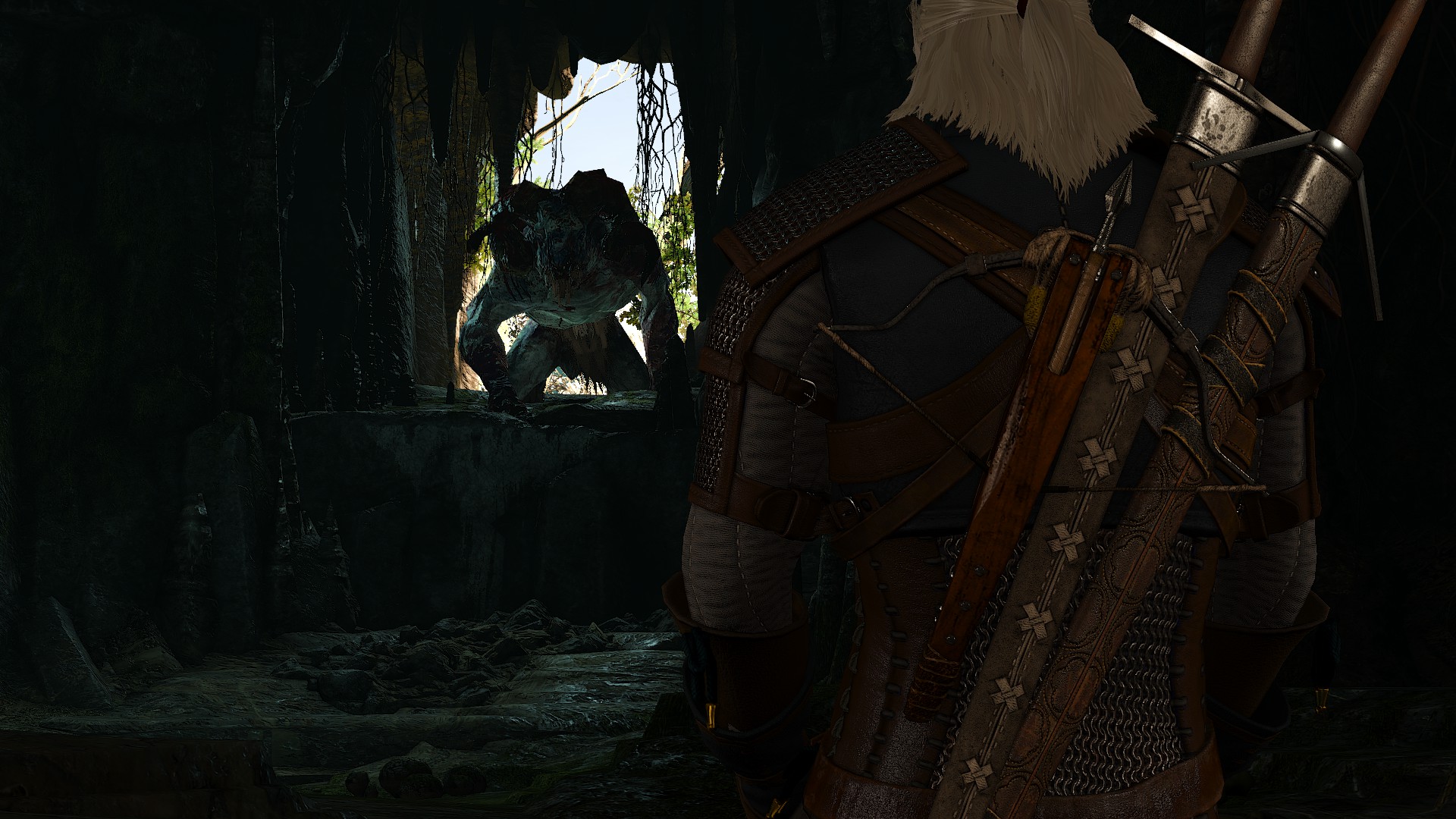 The Witcher Enhanced Edition Huge Wolf Contract 