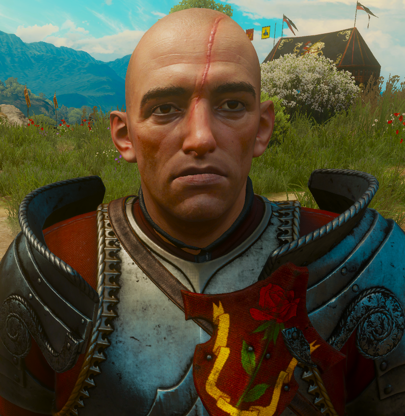 Arthur Tailles Witcher Wiki Fandom