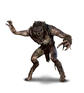 Tw3 journal werewolf