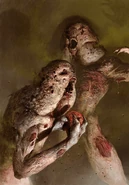 Zgnilce przedstawione na karcie do gwinta