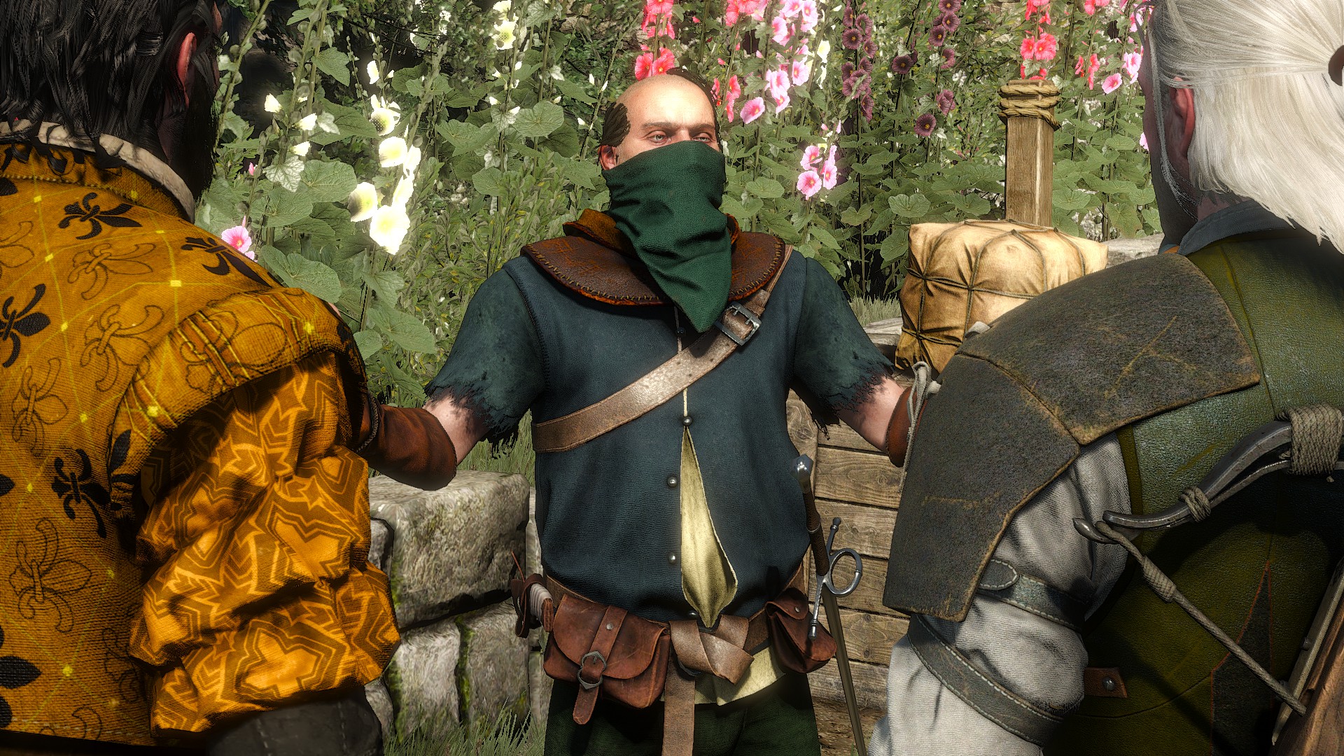 The Gangs of Novigrad Walkthrough