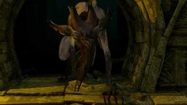 Tw3 mystery of byways