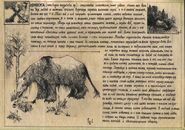 Hirikka2.jpg (151 KB) Bestiary page about hirikka.