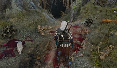 Easter Eggs: The Witcher 2: Assassins of Kings