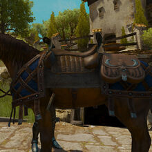 Witcher