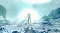 Tw3 ciri stares at the white frost