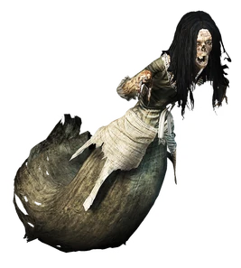 Tw3 journal Daphne's Wraith