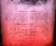 Jackapace description from a Wiedźmin Fest poster