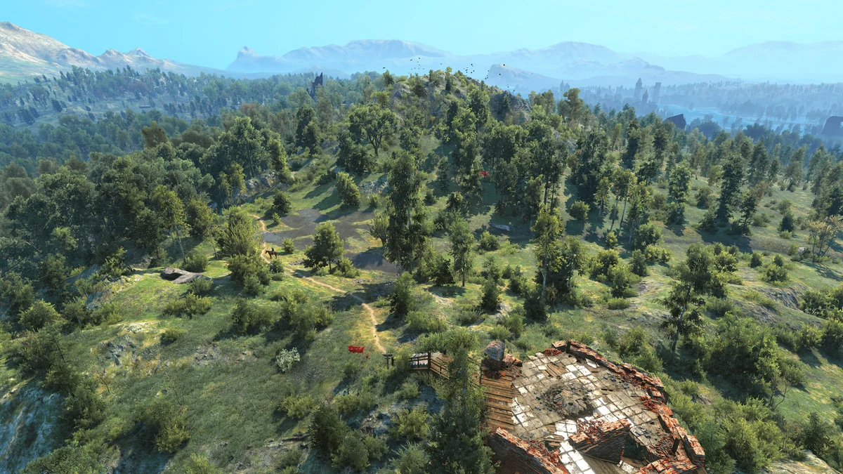 Draken Hollow Witcher Wiki Fandom