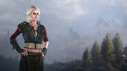 Alternative look for Ciri