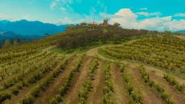 Tw3 dun tynne hillside