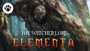 What are Elementa? The Witcher 3 Lore - Elementa