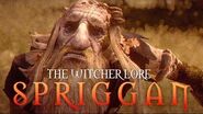 What is a Spriggan? - The Witcher Lore - Spriggans