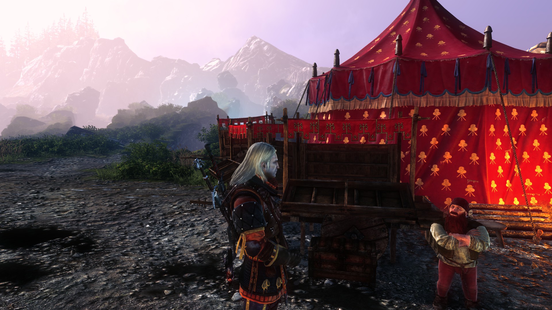 The Witcher 2 storage, Witcher Wiki