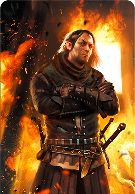 Tw3 cardart scoiatael schirru