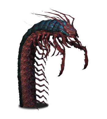 Tw3 journal scolopendromorph