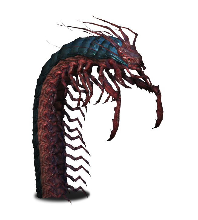 Giant Centipede Witcher Wiki Fandom