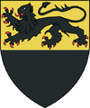 The first historical coat of arms