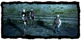 Scene missing elven party