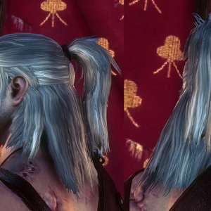 Barbers And Coiffeuses Witcher Wiki Fandom