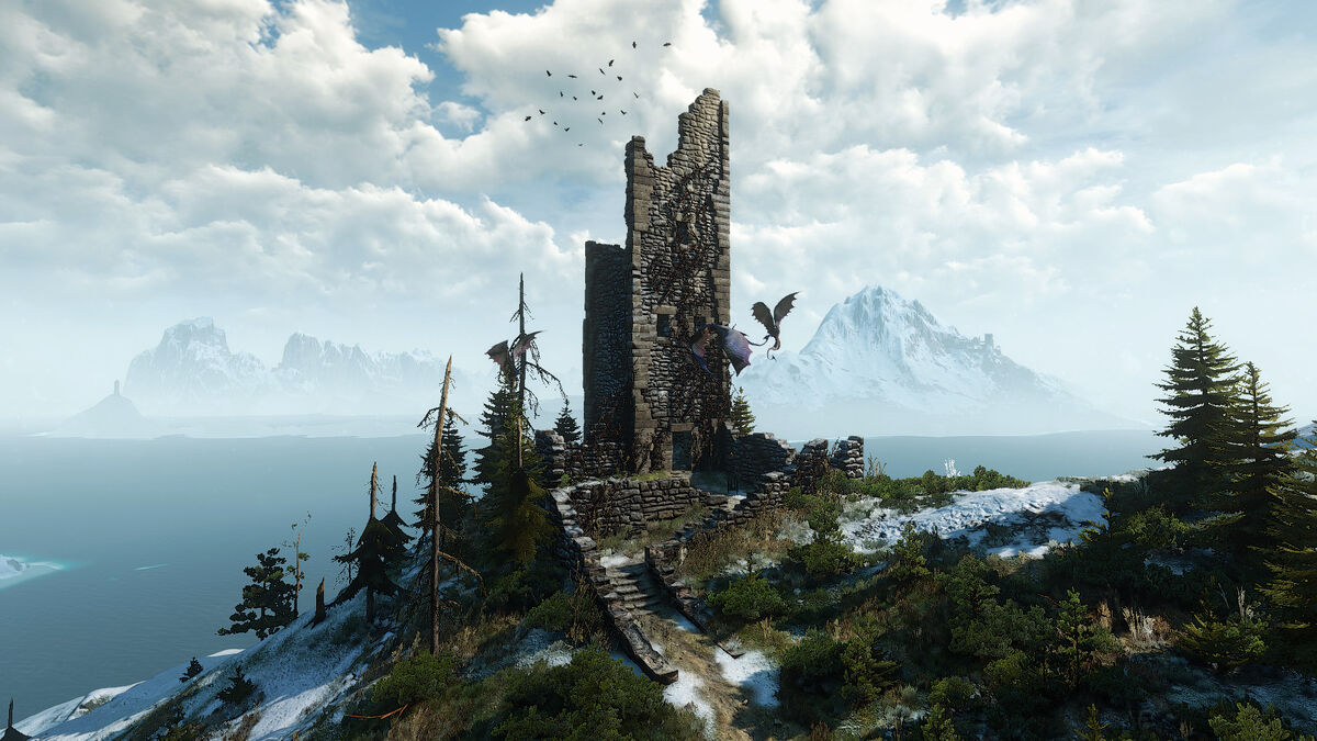 The witcher 3 quests skellige фото 96