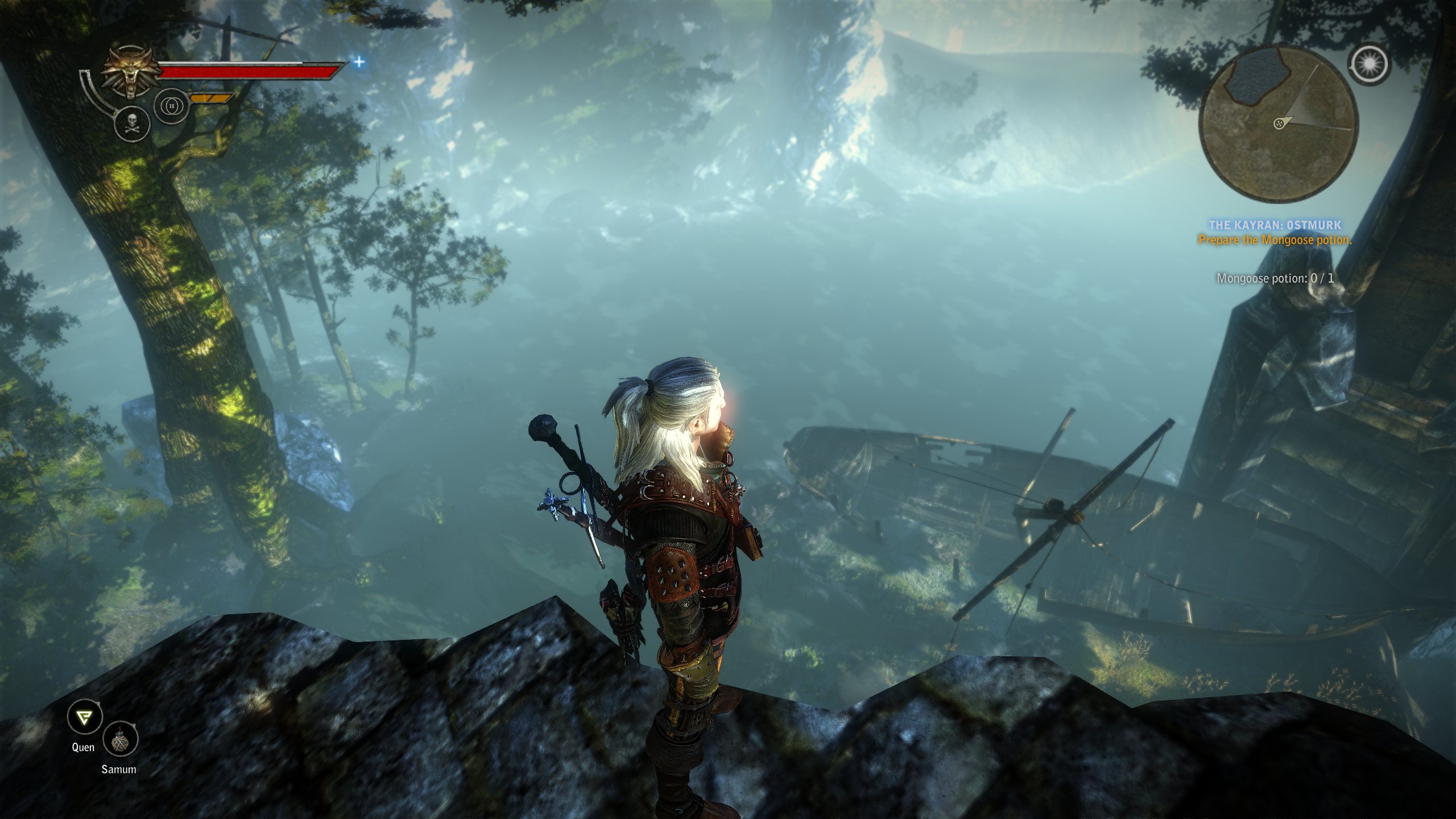 The case for 'The Witcher 2