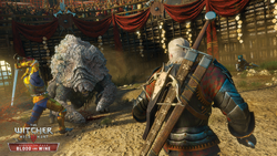 Shaelmaar | Witcher Wiki | Fandom Shaelmaar | Witcher Wiki | Fandom