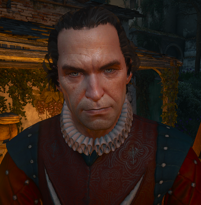 Roderick Dun Tynne Witcher Wiki Fandom