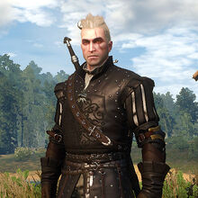 Nilfgaardian Armor Set Witcher Wiki Fandom