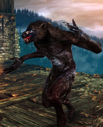 Werewolf in The Witcher 2 Arena