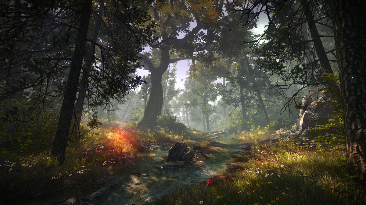 Игра лес фото Loc Muinne forest Witcher Wiki Fandom