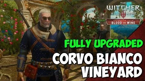 Witcher_3_Blood_and_Wine_-_Fully_Upgraded_CORVO_BIANCO_Vineyard_Tour_-_Geralt's_Home