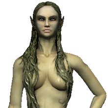 Lady Of The Lake S Ruby Witcher Wiki Fandom